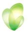 Anhui Yuanlang Textile Technology Co., Ltd.