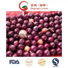 New Crop Export Good Quality Chinese Red Onion Color Red Shape Oval Type Whole Trademark GOGO Size 3.0cm and up HS Code - Image 3