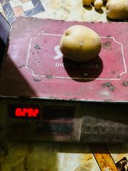 Potatoes – product photo 2, product detail gallery