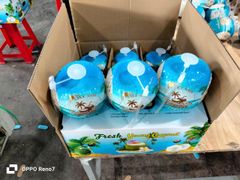 Coconut - Image 1