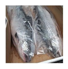 Hot Sale Price Of FRESH NORWEGIAN SALMON 1 KG For Sale - Image 1