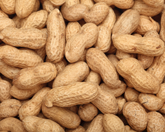 Organic Groundnut - Image 4