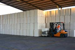 100% NATURAL COTTON Type RAW Packaging 170KG BALES Grade AA Place of Origin TANZANIA - Image 3