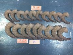 Frozen vannamei raw PD – product photo 1, product detail gallery