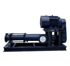 Horizontal Backpack Screw Pump in Environmental Protection, Food, Petroleum, and Chemical Engineering - Image 3