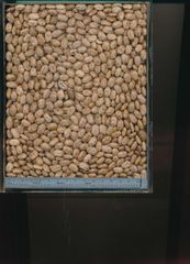 pinto beans – product photo 1, product detail gallery