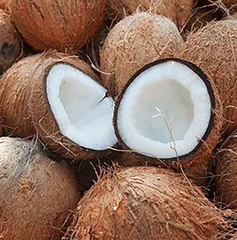 Semi-husked Coconut – product photo 2, product detail gallery
