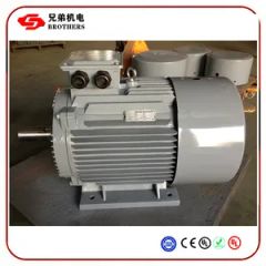 Br3 Series 1.5kw 3kw 5.5kw 7.5kw 15kw 30kw Three-Phase Induction Motor - Fuding Brothers Power Co., Ltd.