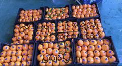 Mandarin - Image 2