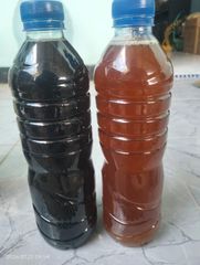 Fish Oil - Image 1