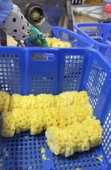 24 tins in carton Pineapple Pieces in light syrup 580ml original Vietnam - Image 4