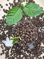 Coffee & Coffee Bean – product photo 1, product detail gallery