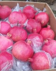 Pomegranates - Image 1