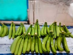 Cavendish Banana – product photo 2, product detail gallery