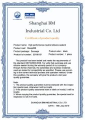 ISO-9001 certificate from Shanghai BM Industrial Co., Ltd.