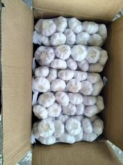 Custom Packaging Bulk Supply Dehydrated Garlic Flakes /Dried Garlic Flakes/White Garlic with Consistent Quality for Food - Image 2