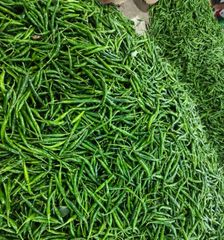 Fresh G4 Green Chilli - Premium Indian Export Quality (3.8kg Net Box) - Image 3