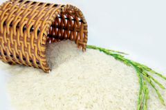 Ready to Export Basmati rice of Viet Nam ST20 - WA +84 5 6859 4868 (Ms. Cate) - Image 3