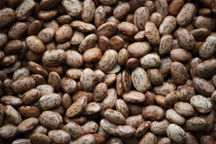 Organic Red Kidney Beans - Image 2