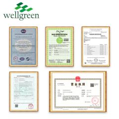 Wellgreen Fruit Powder Strawberry Juice Powder Strawberry Powder - Image 6