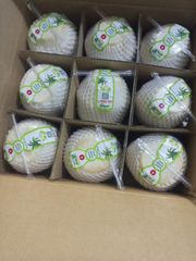 Fresh coconut export business in VIETNAM - High Quality Products from Song Nam ITD - Image 5