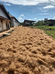Coconut Fiber - Image 3