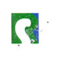 Runic Services