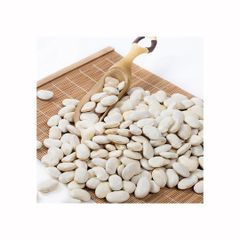 White kidney beans available for export with consistent size and quality - Image 2