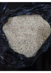 Natural white Sesame Seeds - Image 1