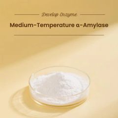 Factory Price Medium-Temperature Alpha-Amylase Enzyme for Bakery Industry Food Grade Baking Enzyme Manufacturer in China - Beijing Develop Biotech Co., Ltd.