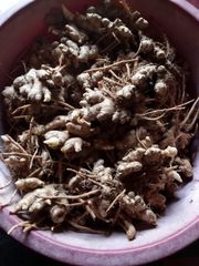 Ginger – product photo 1, product detail gallery