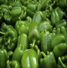 Fresh Green Capsicum - Image 5