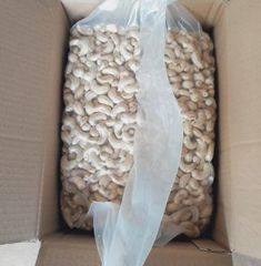 Premium Cashew Kernels – product photo 2, product detail gallery