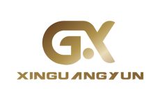 Changzhou Xinguangyun Electric Co., Ltd.