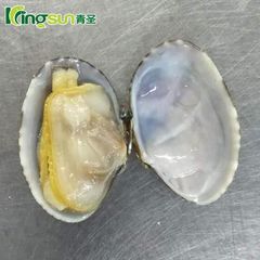 Frozen Cooked Short Neck Clams Premium Seafood Dish Style FROZEN Shelf Life 24 Address China Ingredients no Type - Image 4