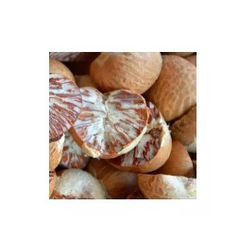 Premium Betel Nut available bulk stock wholesale – product photo 4, product detail gallery