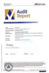 TUV Audit Report certificate from Ningbo Skymech Import and Export Co., Ltd