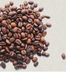 Green Arabica Coffee Beans / Coffee Beans For Sale / Ethiopian Arabica Coffee Beans/ Bob-Bob Coffee for sale - Image 3