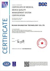 ISO certificate from Wuhan Shunqiyan Technology Co., Ltd.