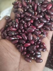Red Kidney Beans – product photo 2, product detail gallery