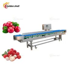 Stainless Steel Fruit Roller Sorting Machine - Image 5