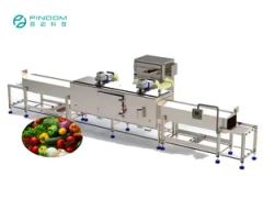 Customized Nuts Chemical Processing Drying Oven Machine Equipment - Image 2