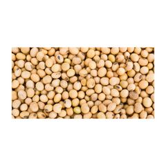 Bulk supply of soybeans ready for sale with premium quality and high protein content – product photo 2, product detail gallery
