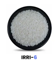 IRRI-6 5% - Image 1