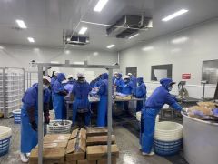 Customized Dimension Blast Freezer with Other Compressor Brand - Image 2