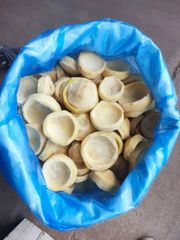 artichokes Address Egypt Packaging plastic - Image 4