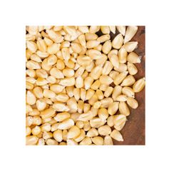 Bulk supply white corn premium quality maize export ready packaging - Image 1