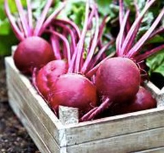 Fresh Beetroot – product photo 5, product detail gallery
