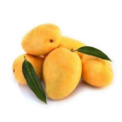 Premium Quality Yellow Color Tropical Fresh Mango Fruit Exporter from India With Cheap Cost Price - Image 6