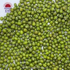 Hot green sprouted broad mung bean Style Dried Weight (kg) 50 Ingredients NO Grade Grade one Type Mung Beans Shelf Life - Image 5